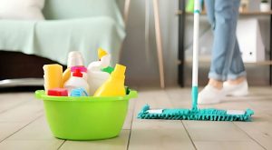 Bahçeşehir Temizlik Hizmeti