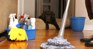 Bahçeşehir Ev Temizliğinde Uzman Eller 1 Bahçeşehir Ev Temizliğinde Uzman Eller