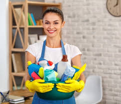 Lüks Evlerde Profesyonel Temizlik 18 Lüks Evlerde Profesyonel Temizlik