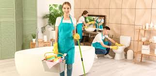 Ev Temizliği